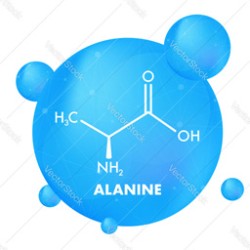 Alanine [ Ala ]