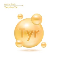Tyrosine [ Tyr ]