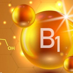 Thiamin [ B1 ]