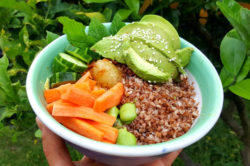 plant based protein with avocado
